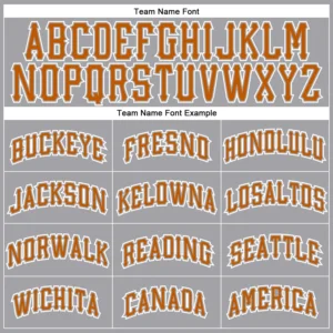 Custom Gray Baseball Jersey with Texas Orange-White - Image 2