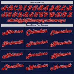 Custom Navy Baseball Jersey with Red-Gray - Image 3