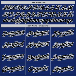 Custom Royal Pinstripe Baseball Jersey with Black-White - Image 3